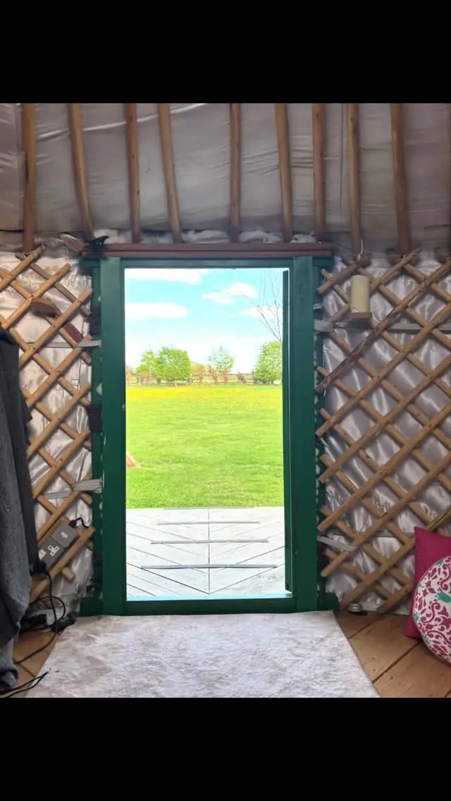 View from inside the yurt looking out to a dandelion field